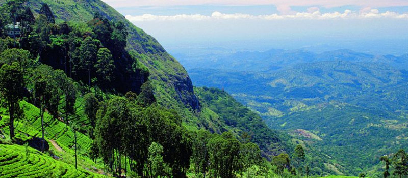 Casino Sri Lanka